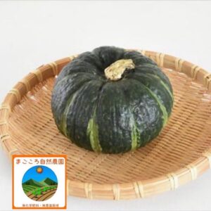 幻の逸品！無農薬特別栽培「ETかぼちゃ」 2個【送料込み】