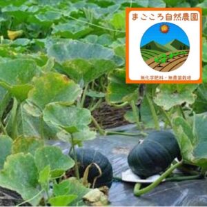 幻の逸品！無農薬特別栽培「ETかぼちゃ」 2個【送料込み】
