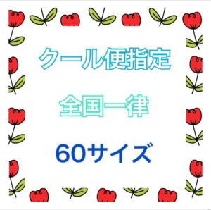 送料追加料金　クール便60 　全国一律