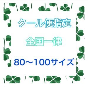 送料追加料金　クール便80-100　全国一律