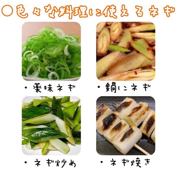 【感動体験】とろける甘さ！無農薬特別栽培の長ネギ 1kg【送料込み】 予約開始 - 画像 (5)