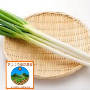 【感動体験】とろける甘さ！無農薬特別栽培の長ネギ 1kg【送料込み】 予約開始